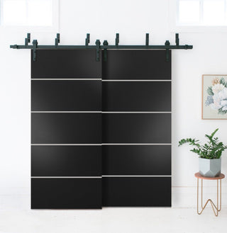 Slab Barn Door Panel 42 x 84 | Planum 0210 Matte Black with  | Sturdy Finished