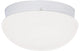 Nuvo 2-Light Incandescent Close-to-Ceiling Light Fixture, White