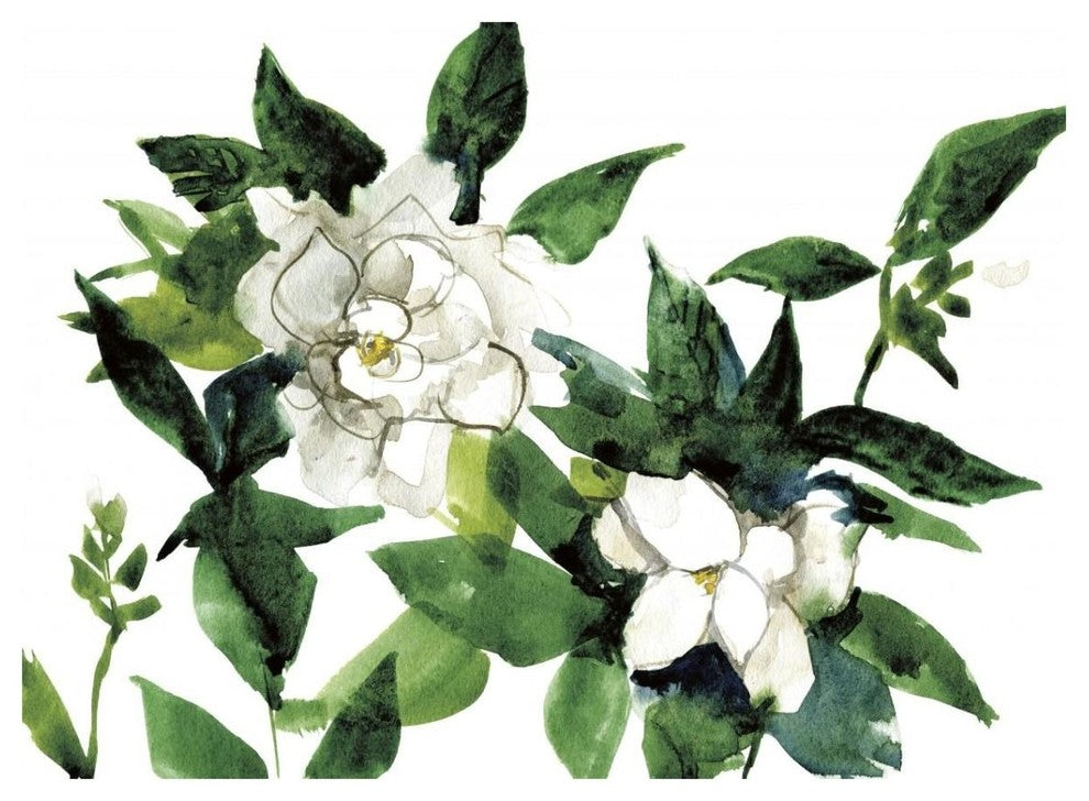 "Bright Gardenias" Digital Paper Print by Anne Tavoletti, 18"x14"