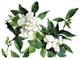 "Bright Gardenias" Digital Paper Print by Anne Tavoletti, 18"x14"