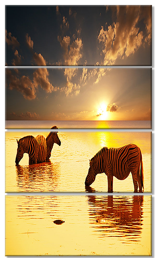 Zebras in Water At Sunset, African Canvas Art Print, 28"x48", 4 Panels