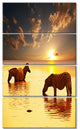 Zebras in Water At Sunset, African Canvas Art Print, 28"x48", 4 Panels