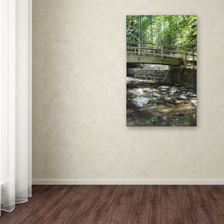 'Amicable Escape' Canvas Art by Monica Fleet