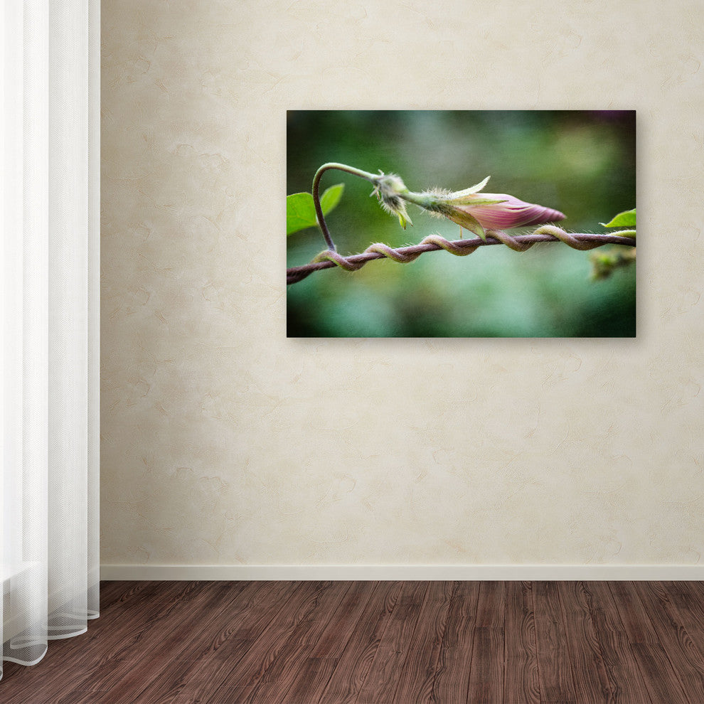 ''Focus'' Canvas Art by Philippe Sainte-Laudy