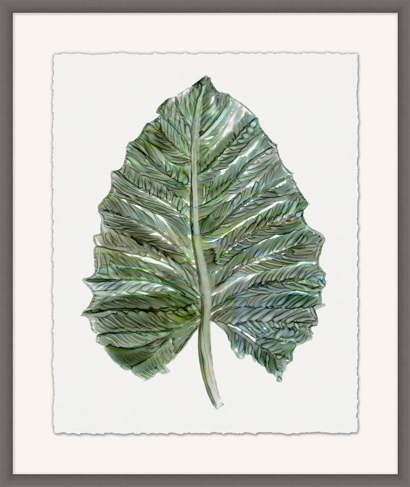 Foliage Study 3, Giclee Reproduction Artwork