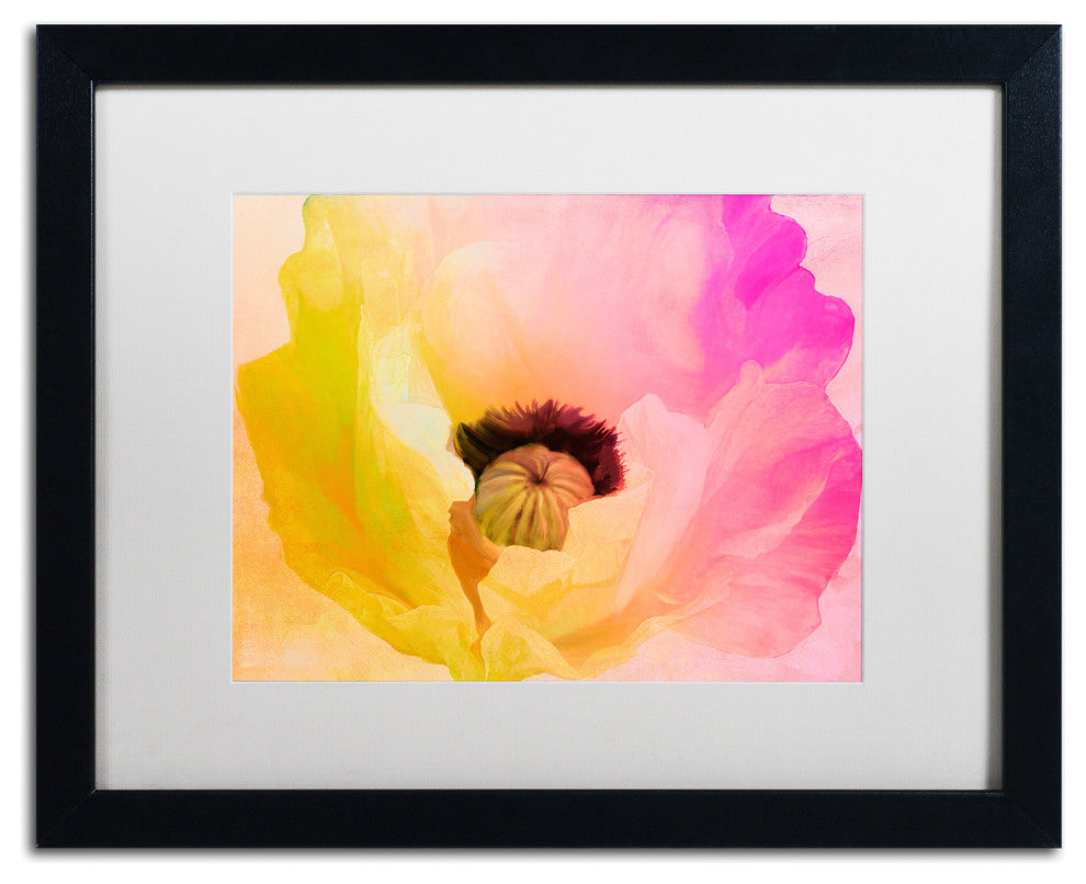 Color Bakery 'Poppy Gradient II' Art, Black Frame, White Matte, 20"x16"