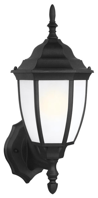 Bakersville 1-Light Outdoor Wall Lantern, Black