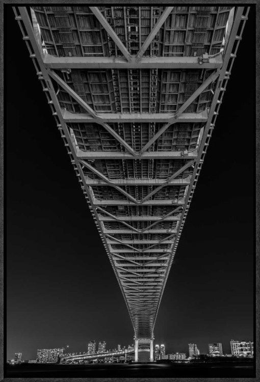 "Directly Under" Framed Canvas Giclee by Tomoshi Hara, 16x23"