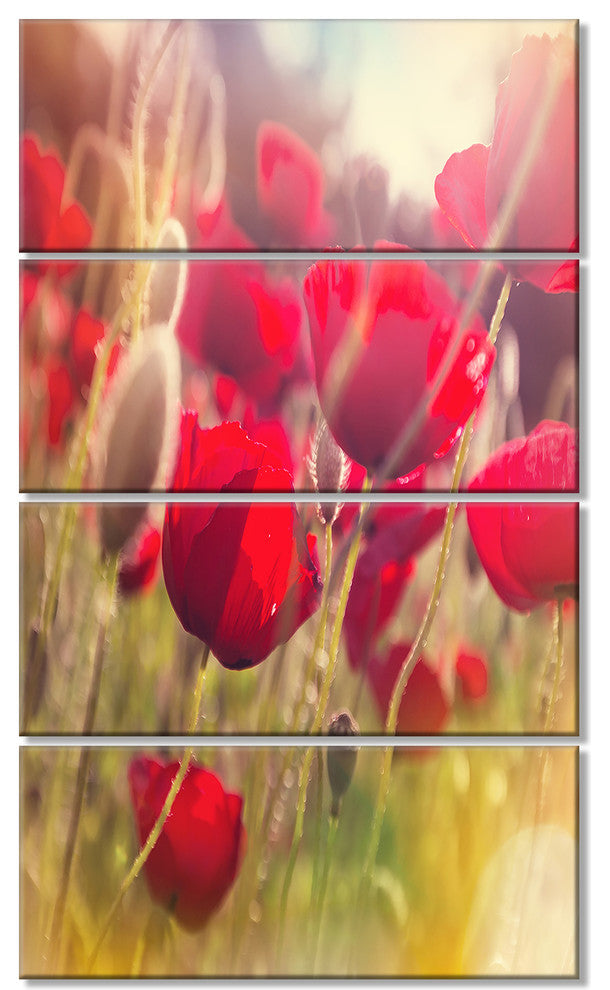 Poppy Flowers Meadow in Sunlight, Flower Canvas Wall Art, 28"x48", 4 Panels
