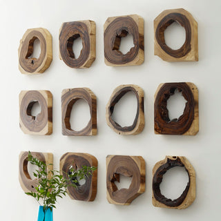 Chamcha Wood Wall Tile, Assorted Styles