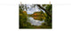 Lost in Autumn Color Landscape Photo, Rural Unframed Wall Art Print, 18" X 24"