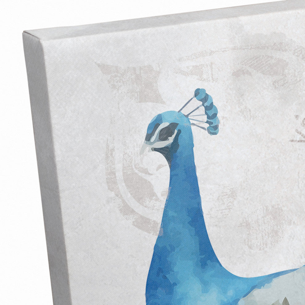French Peacock 2 16x20 Canvas Wall Art