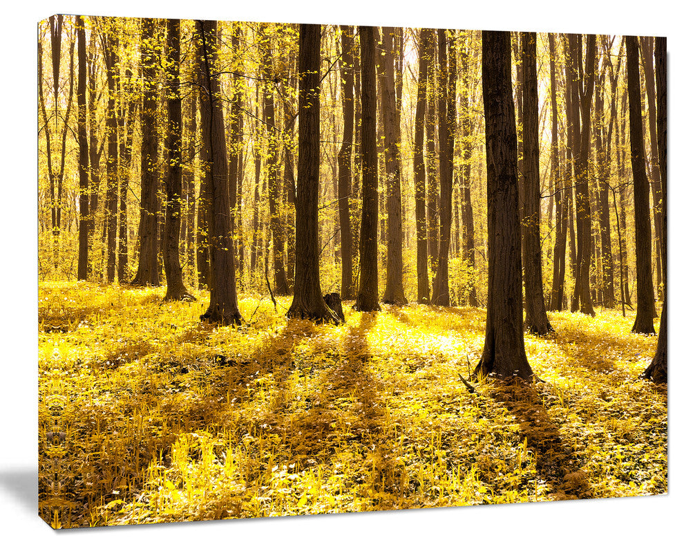 Bright Green Forest at Sunset, Modern Forest Canvas Art, 40"x30"