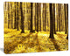 Bright Green Forest at Sunset, Modern Forest Canvas Art, 40"x30"
