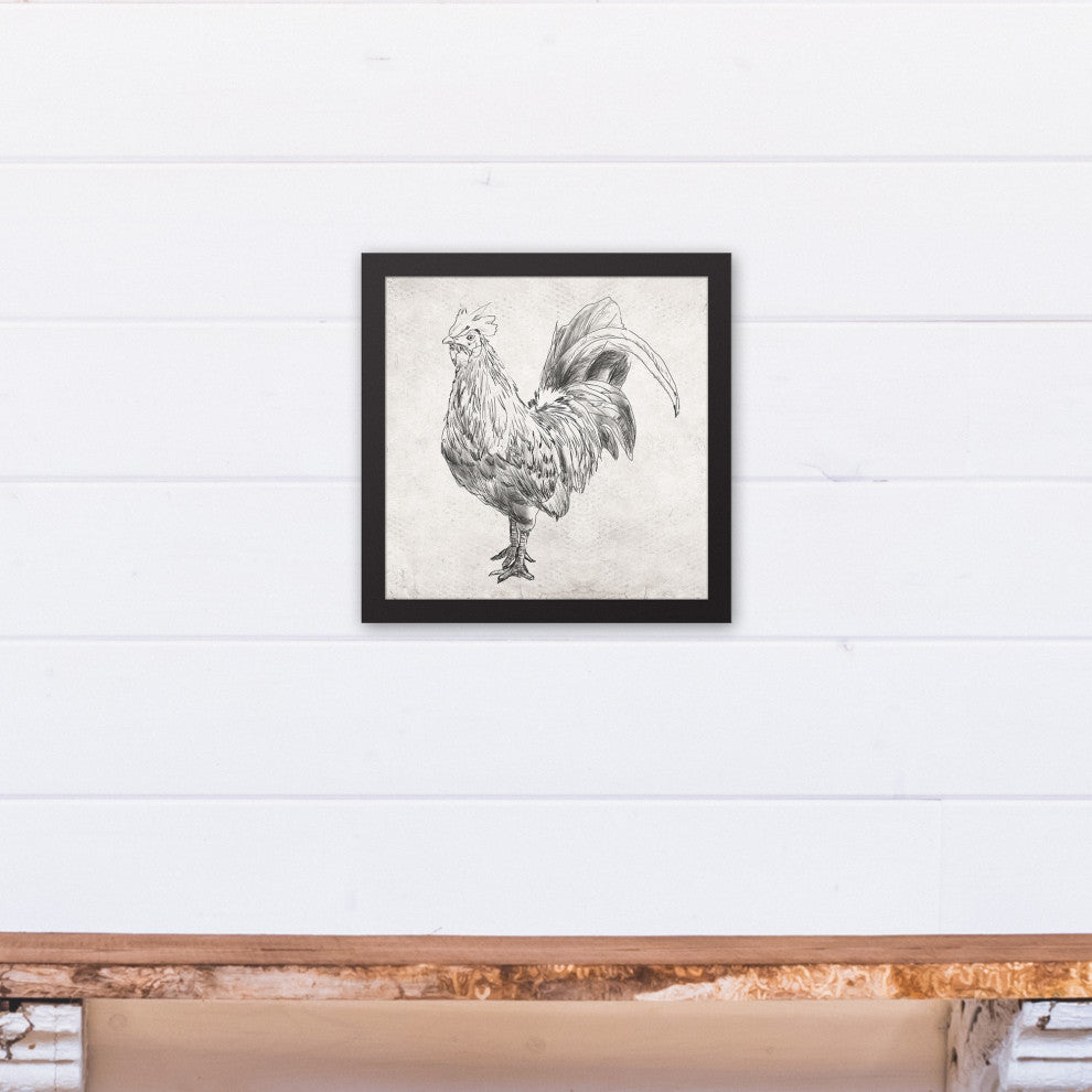 Sketched Black Chicken 12x12 Black Framed Canvas