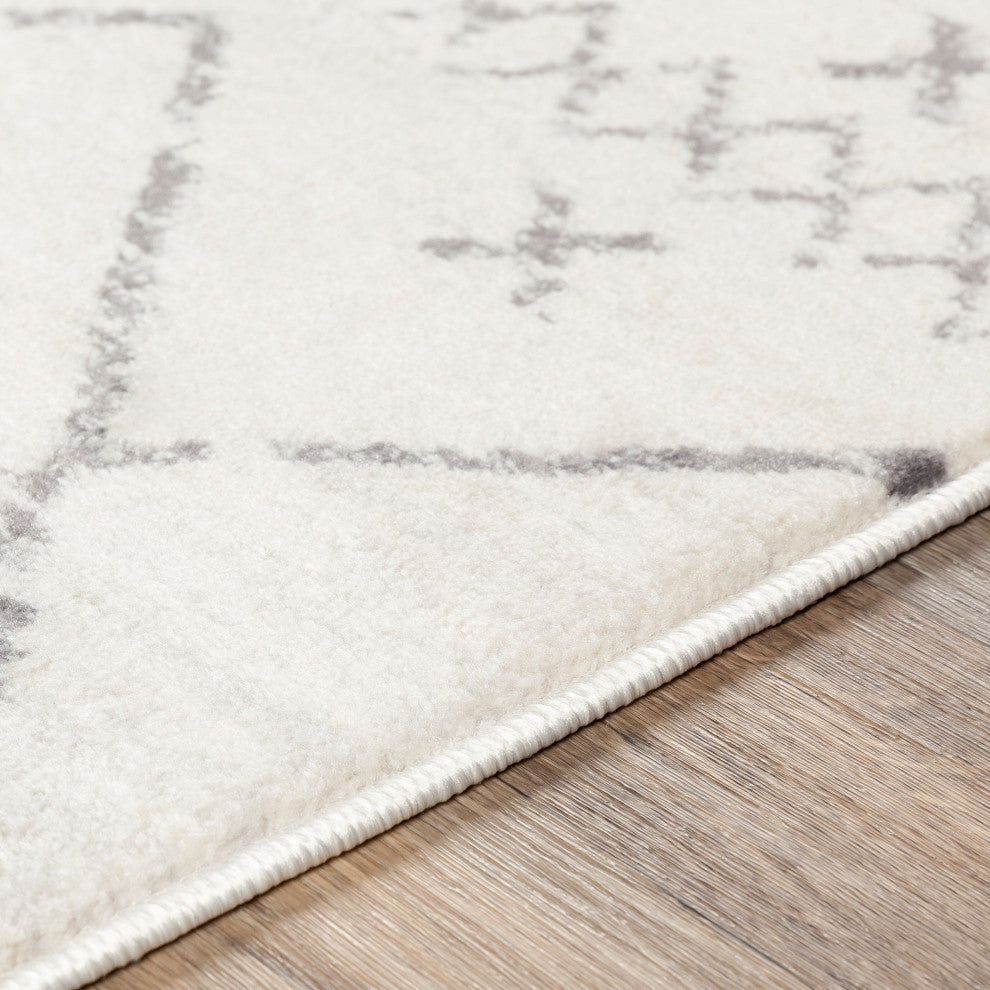 Surya Roma ROM-2338 9'x12'3" Rug, White/Medium Gray