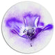 Stylized Watercolor Poppy Flower, Floral Round Wall Art, 23"