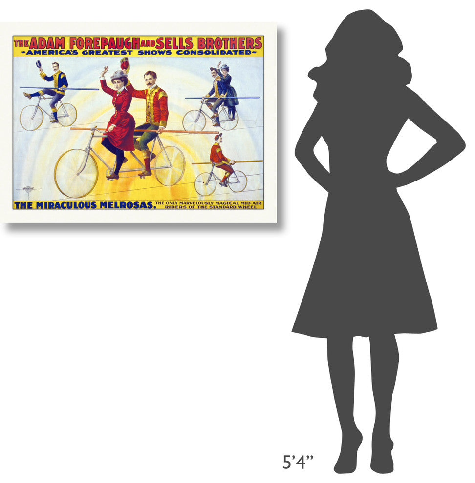 America's Greatest Shows Consolidated, The Miraculous Melrosas, 40x29