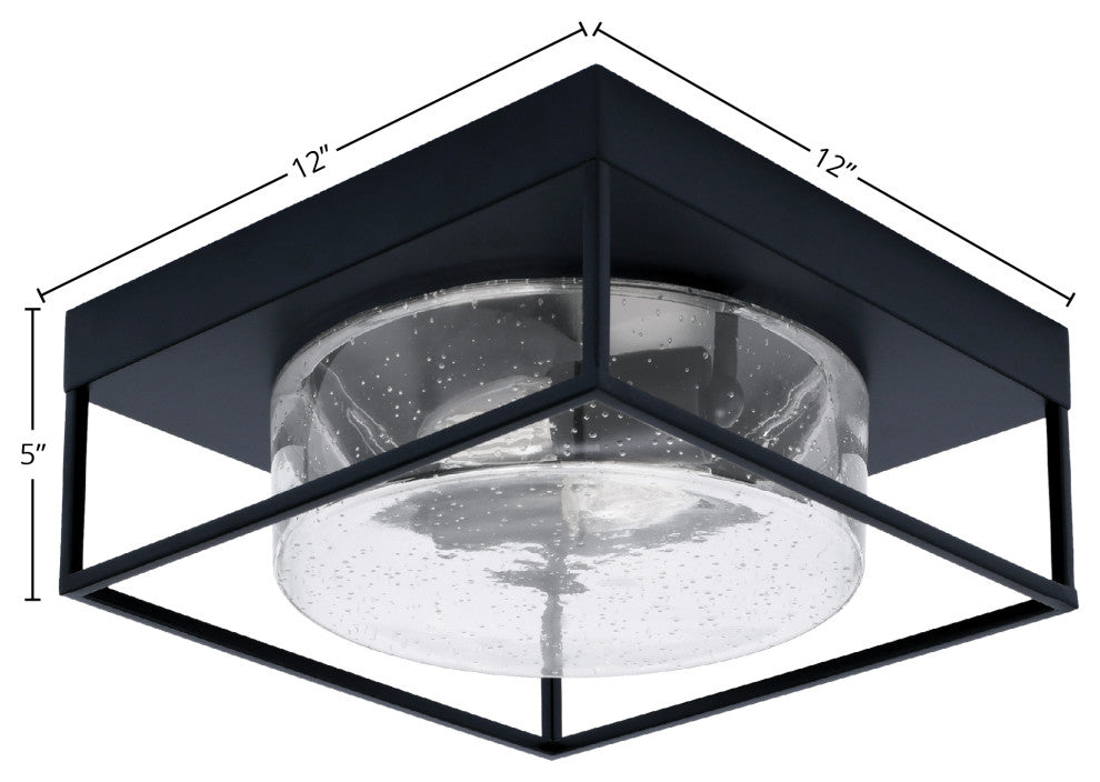12" 2-Light Flush Mount Light, Matte Black, Clear Bubble Glass
