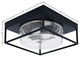 12" 2-Light Flush Mount Light, Matte Black, Clear Bubble Glass