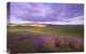 "Large-Leaved Lupine, Carrizo Plain National Monument, California" Artwork