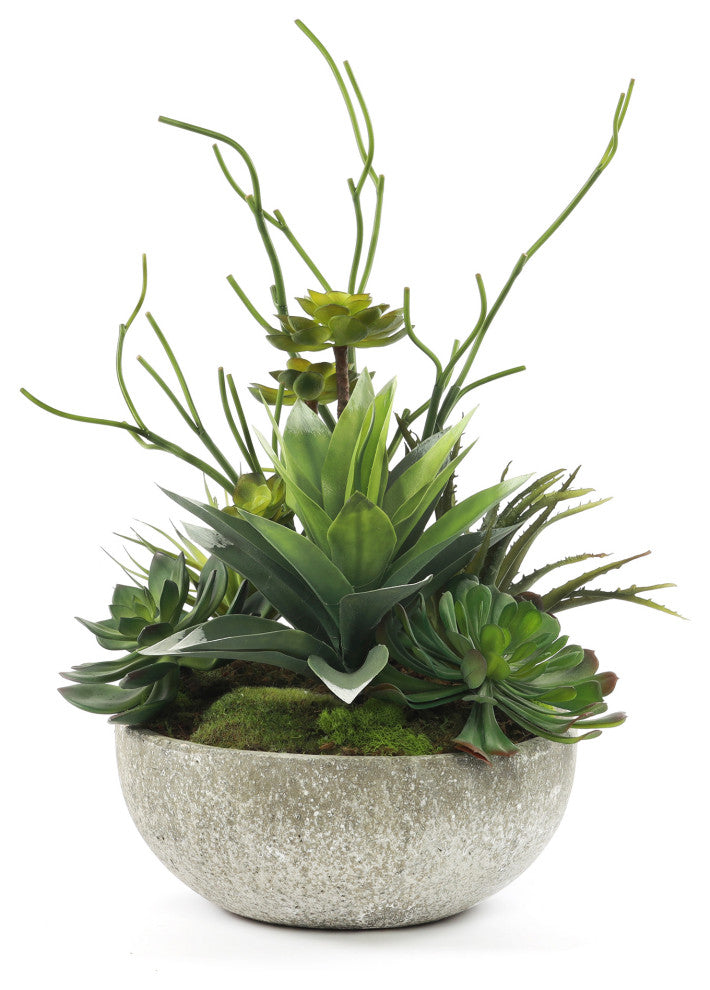 Faux Succulents & Agave Plant in Round Concrete Bowl