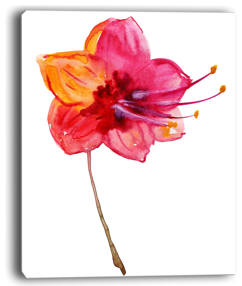 "Beautiful Dual-Toned Star Flower" Flower Wall Art", 12"x20"