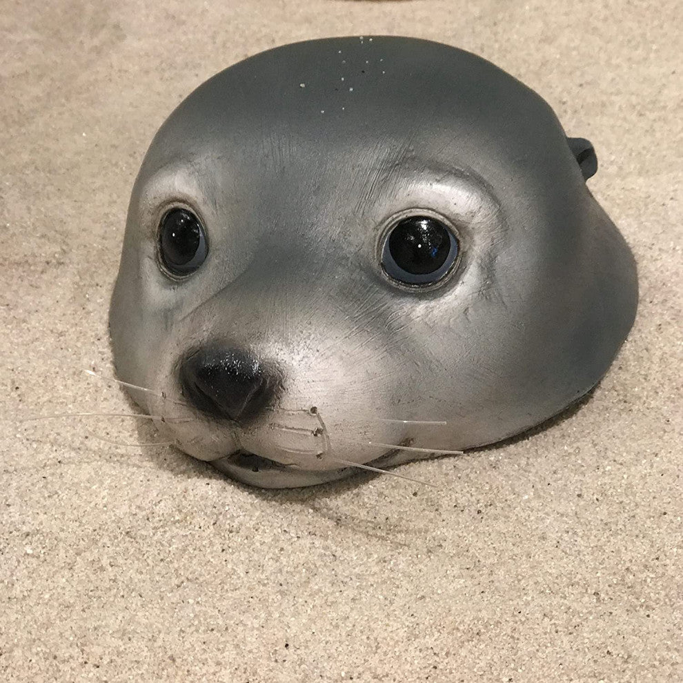 Floating Baby Seal Head