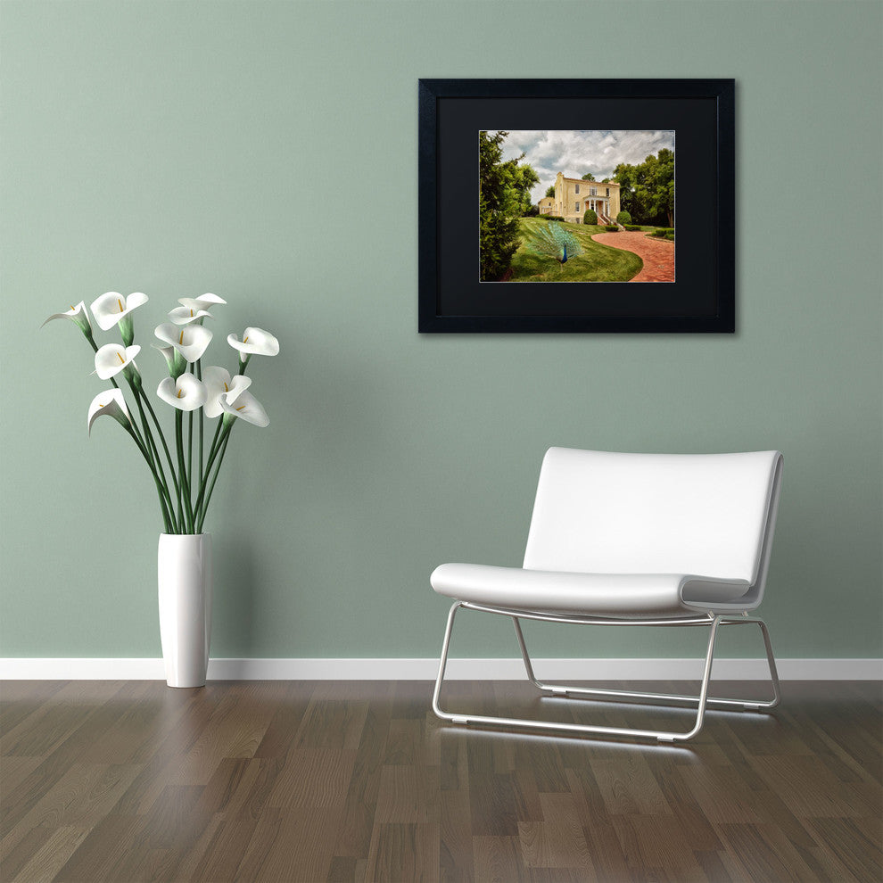 'A Peacock on the Lawn' Matted Framed Canvas Art by Lois Bryan
