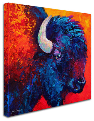Marion Rose 'Bison Head II' Canvas Art, 18" x 18"