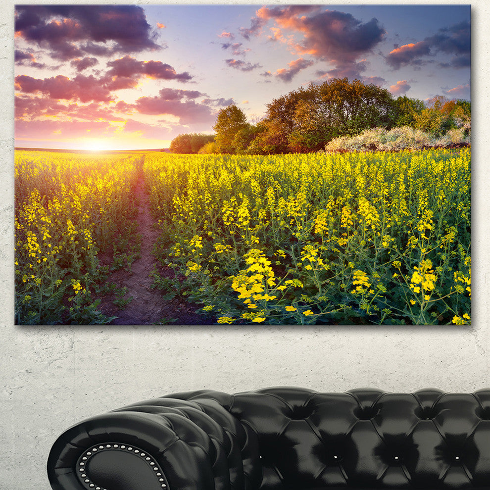 Fantastic Yellow Field at Sunset, Large Landscape Canvas Art Print, 60"x28"