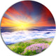 Sunrise With Blooming Flowers, Landscape Art Disc Metal Wall Art, 11"