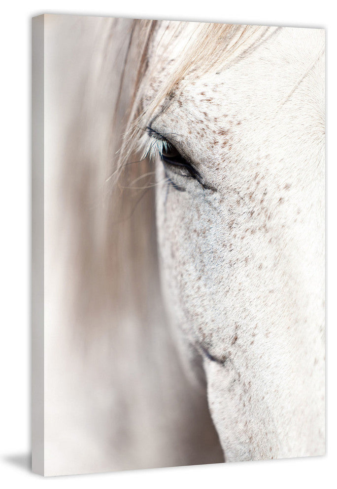 "Horse Eye" Painting Print on Wrapped Canvas