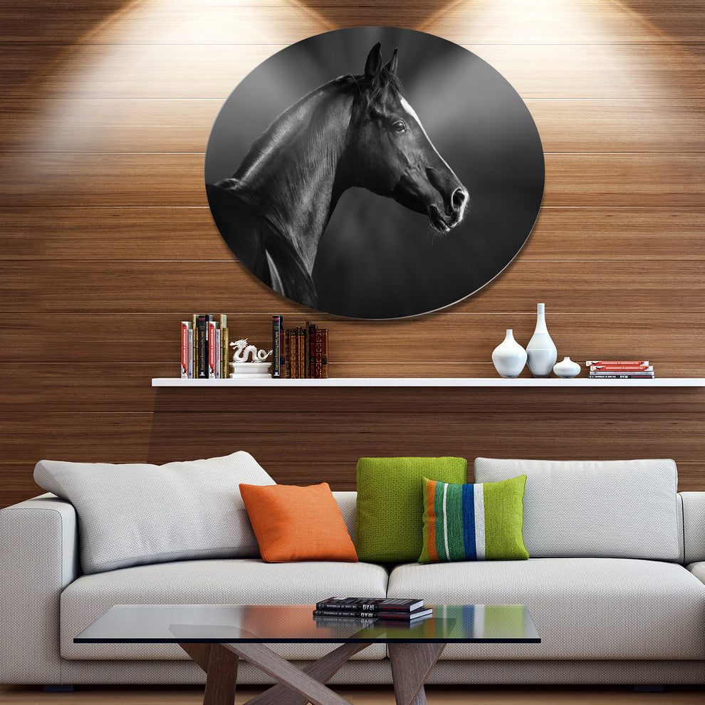 Black Arabian Horse Portrait, Animal Round Wall Art, 11"