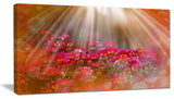 Sunlight Over Small Red Flowers, Large Floral Canvas Artwork, 32"x16"