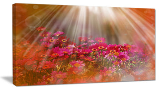 Sunlight Over Small Red Flowers, Large Floral Canvas Artwork, 32"x16"
