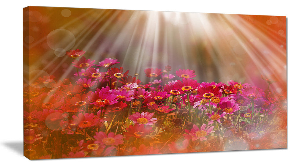 Sunlight Over Small Red Flowers, Large Floral Canvas Artwork, 32"x16"