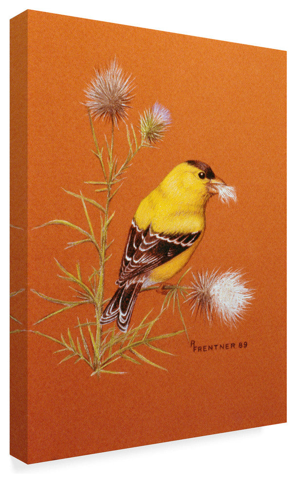 Rusty Frentner 'Bird Red Background' Canvas Art, 24"x18"