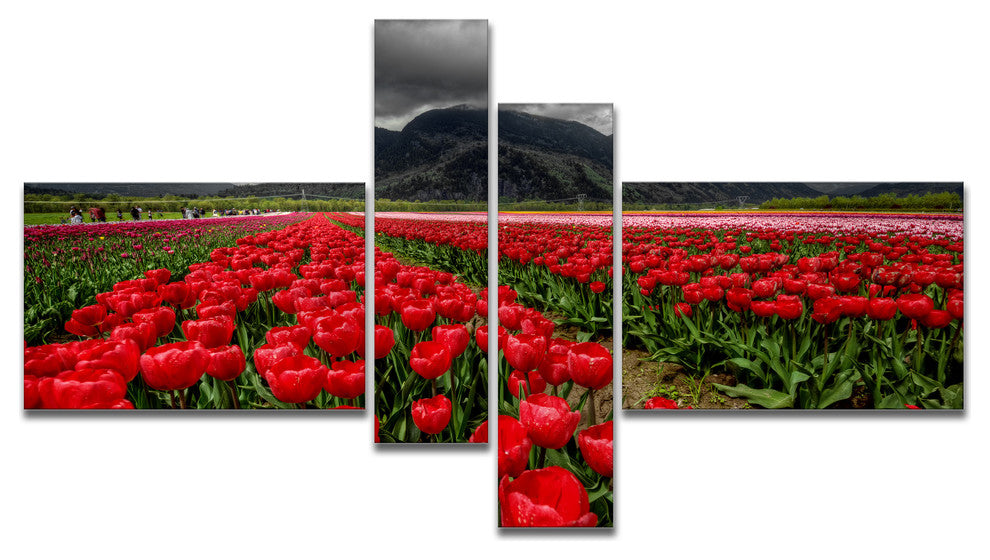 Rows of Bright Ruby Red Tulips, Large Landscape Canvas Art, 60"x32", 4 panels