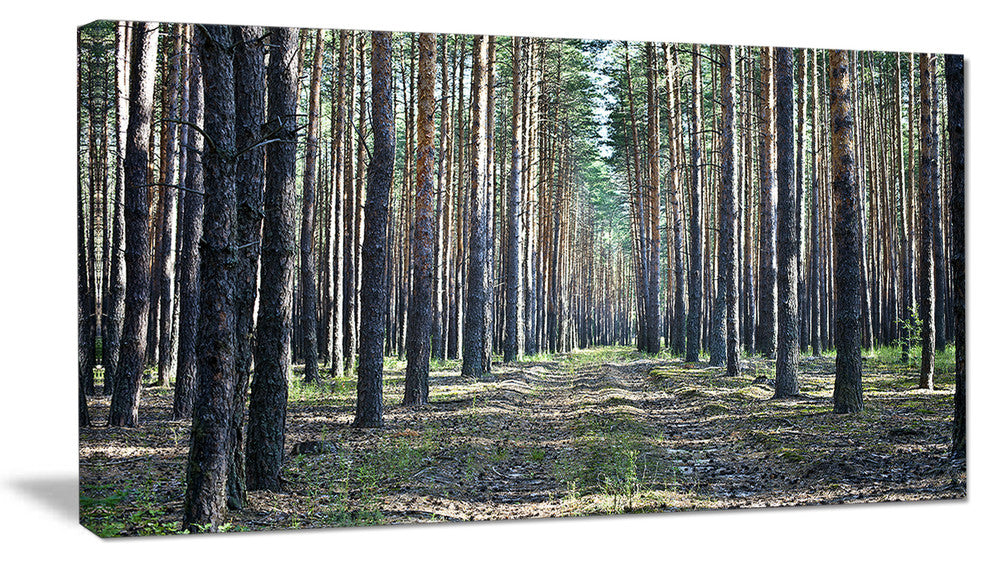Forest Road in Thick Woods, Modern Forest Canvas Art, 32"x16"