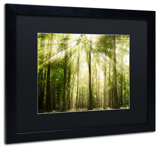 PIPA Fine Art 'Sunrays Through Treetops' Matted Framed Art, 20x16