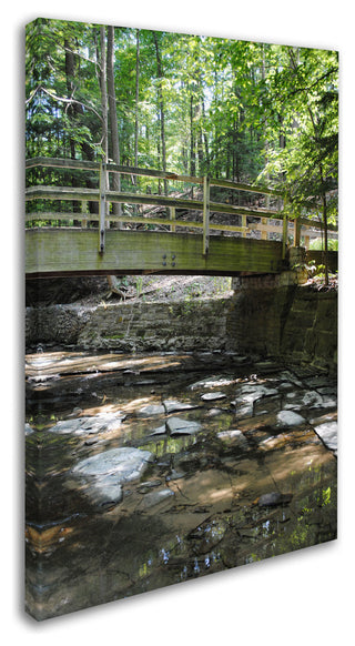 'Amicable Escape' Canvas Art by Monica Fleet