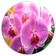 Beautiful Purple Orchid Flowers, Flower Large Disc Metal Wall Art, 36"