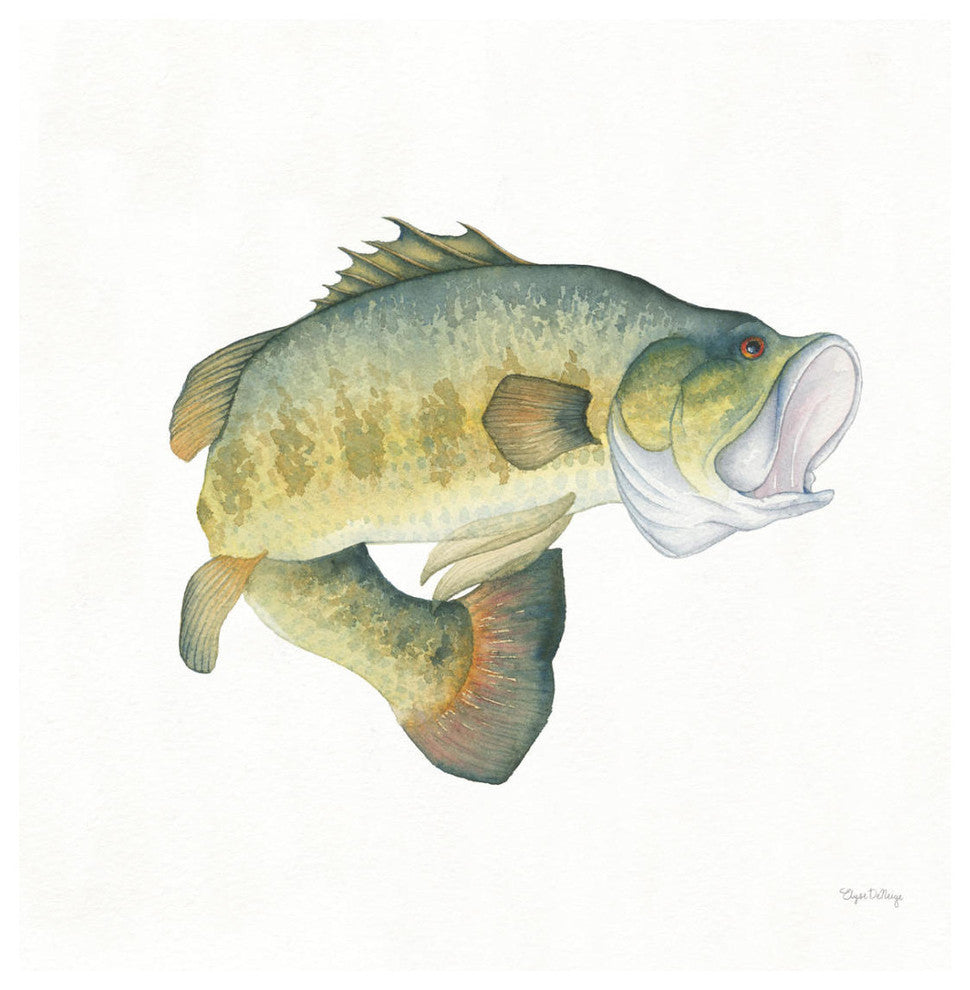 "Gone Fishin Large Mouth" Digital Paper Print by Elyse DeNeige, 26"x26"