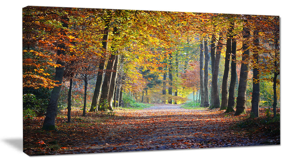 "Wide Pathway in Yellow Fall Forest" Canvas Print, 32"x16"