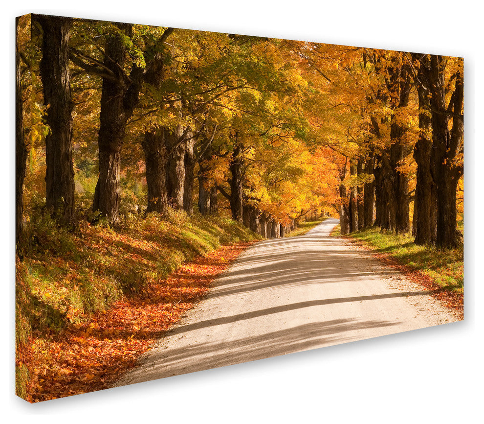 Michael Blanchette Photography 'Maple Canopy' Canvas Art, 47x30