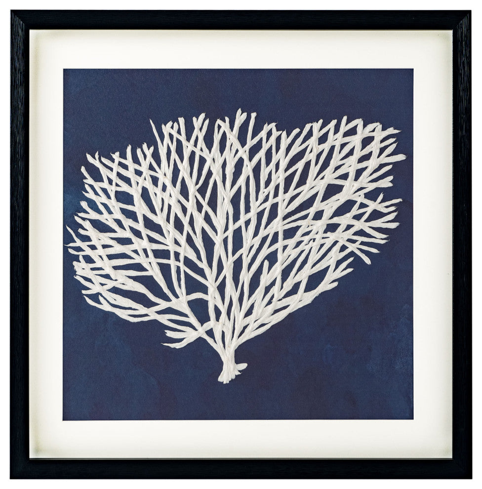 Sea Fan, Shadow Box, Sea Fan 2