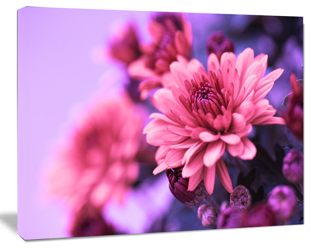Colorful Autumnal Chrysanthemum, Floral Canvas Art Print, 40"x30"