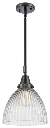 INNOVATIONS LIGHTING 447-1S-BK-G222 Seneca Falls Mini Pendant