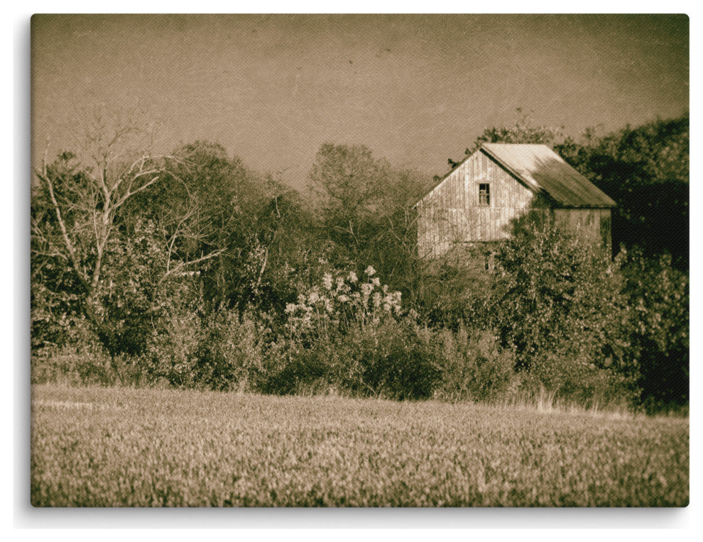 Farmhouse Wall Art: Abandoned Barn Trees Vintage Canvas Print, 12" X 16"